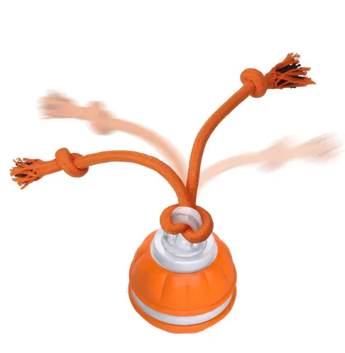 Rolling Dog Ball My Store Orange