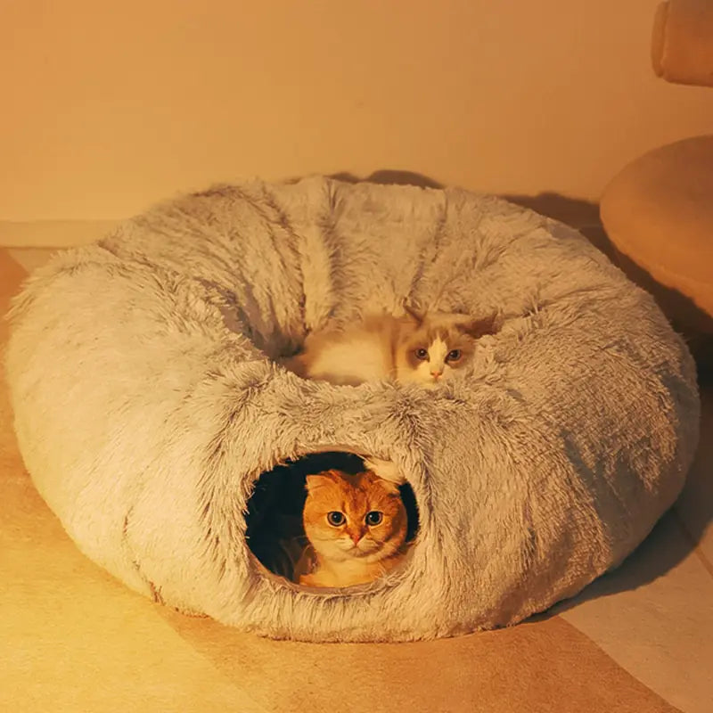 2 In 1 Round Tunnel Cat Beds My Store