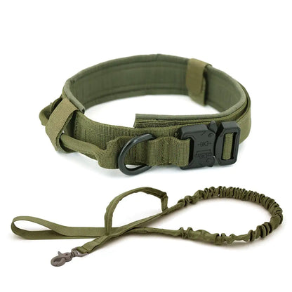 Dog Collar My Store Green M (34-42cm)
