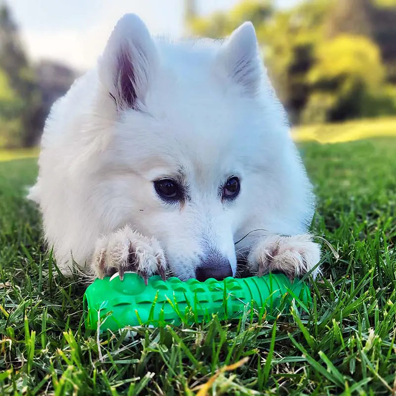 Croc Dental Chew My Store