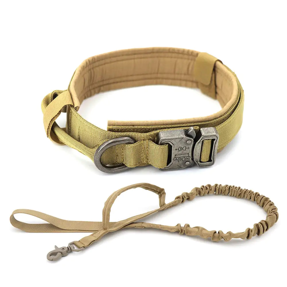 Dog Collar My Store Brown XL (51-61cm)