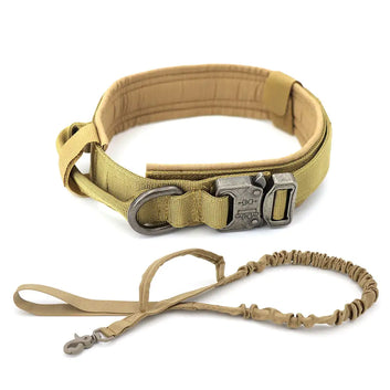 Dog Collar My Store Brown XL (51-61cm)