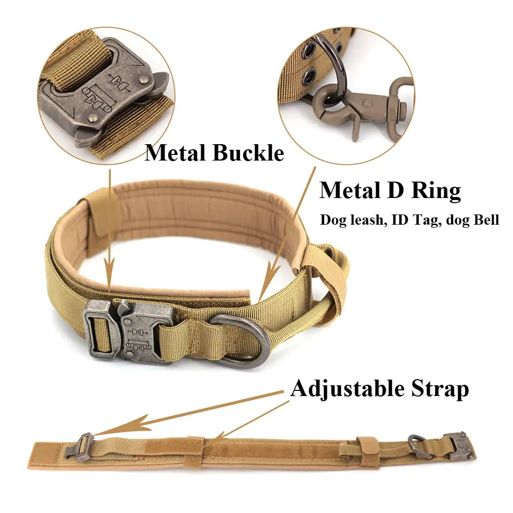 Dog Collar My Store