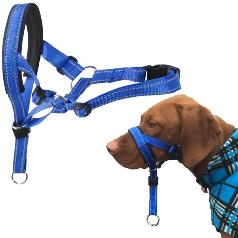 Training Collar My Store