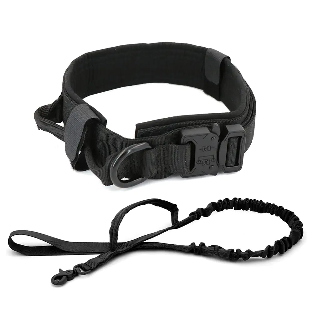 Dog Collar My Store Black M (34-42cm)