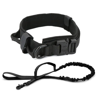 Dog Collar My Store Black M (34-42cm)