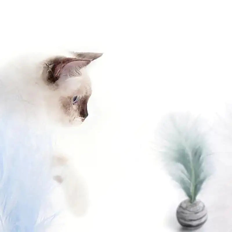 Cat Toy Feather Ball My Store