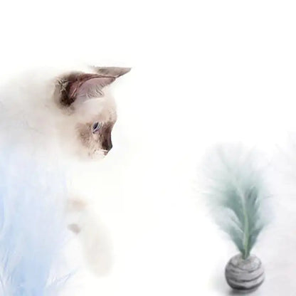 Cat Toy Feather Ball My Store