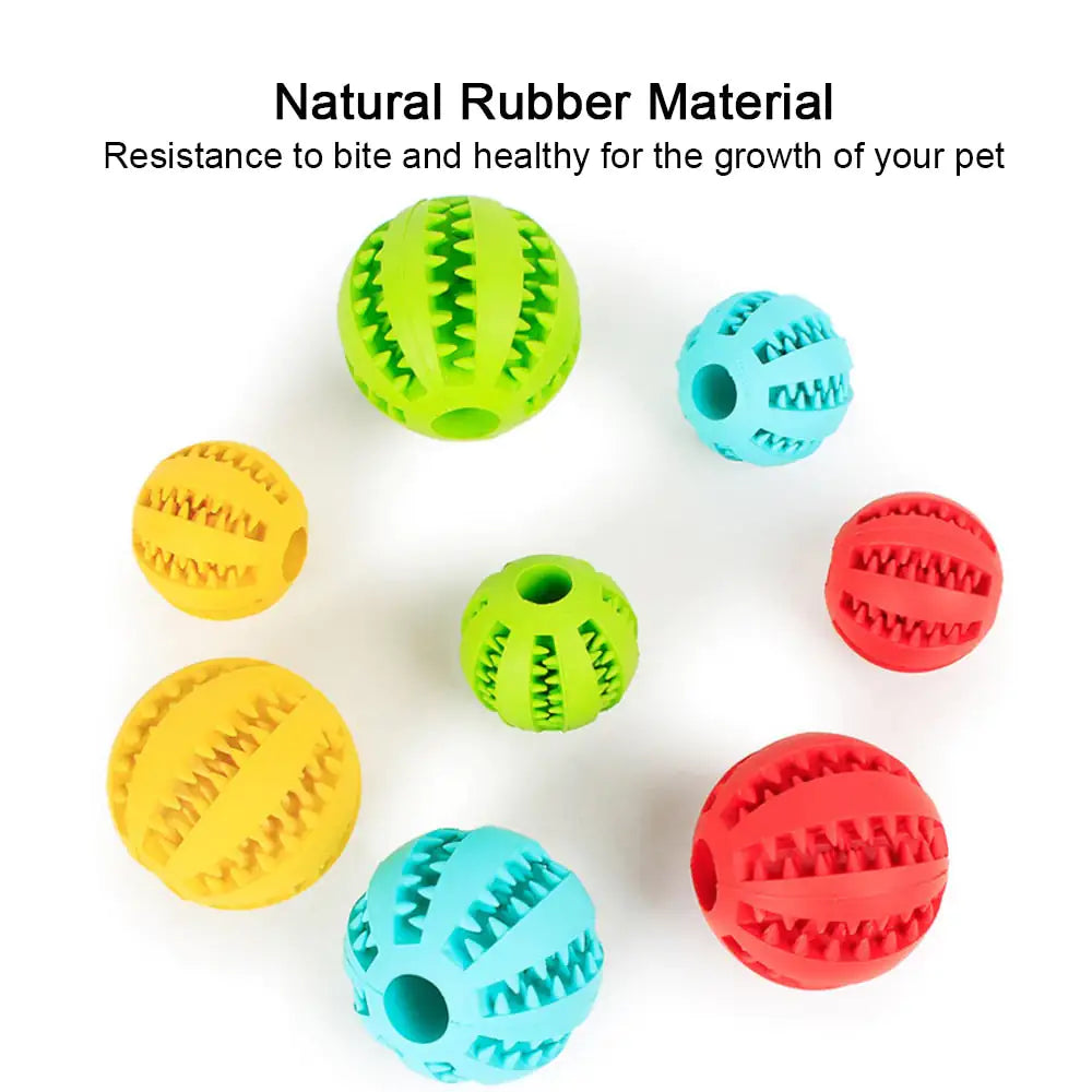 Interactive Toy Balls My Store