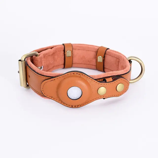 Leather Anti-Lost Dog Collar My Store Brown S